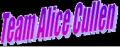 team alice.jpg